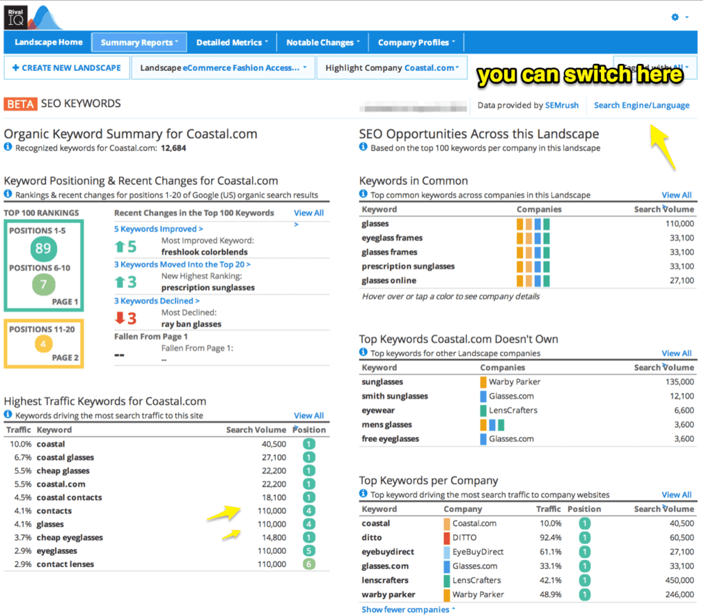 SEO Keyword Ranking Analytics - Competitive View