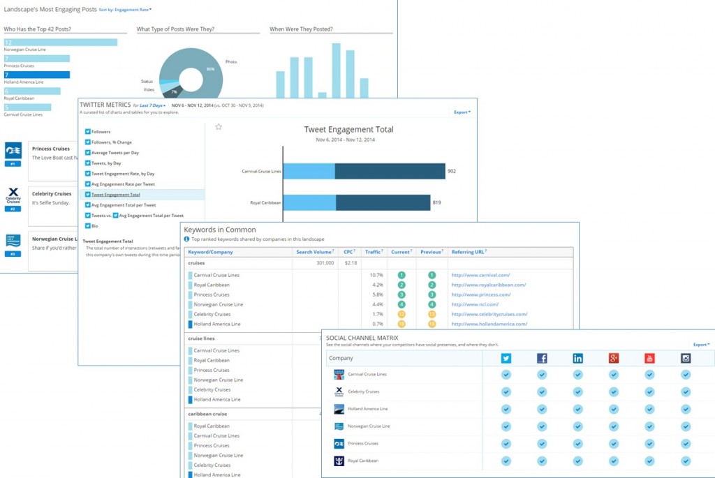 Rival IQ analytics and top social content reports for a Cruise Market Landscape