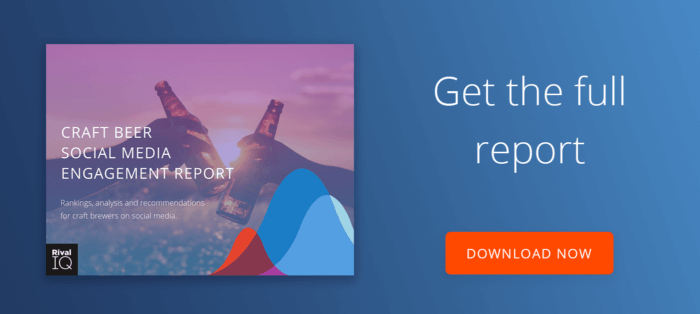 Download the Craft Beer Report 