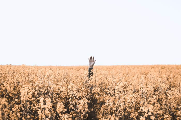 One man's arm rising from a field of wheat–or a sea of data mistakes!