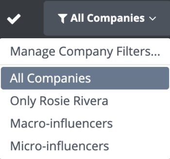 Use company filters to group your social data by micro and macroinfluencers