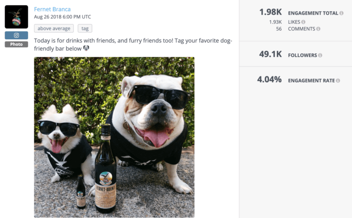 Two dogs next to a bottle of Fernet