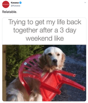 Kasasa's tweet contains a golden retriever stuck in a plastic chair stating "trying to get my life back together after a three day weekend like"