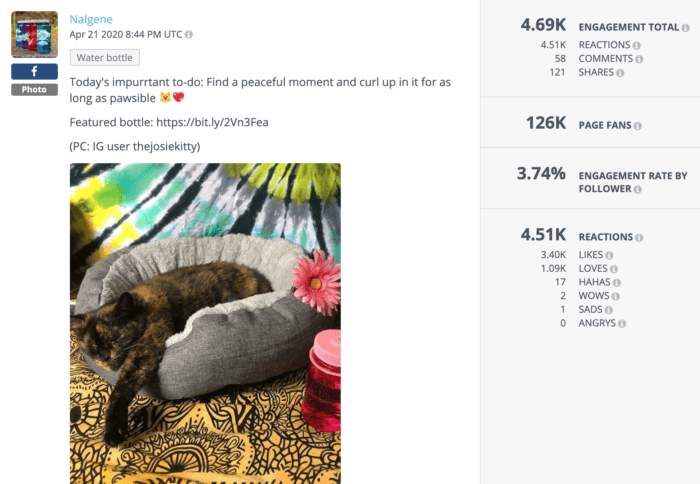 Nalgene Facebook post featuring a cat and Nalgene bottle is an example of high-performing outdoor brands on social media