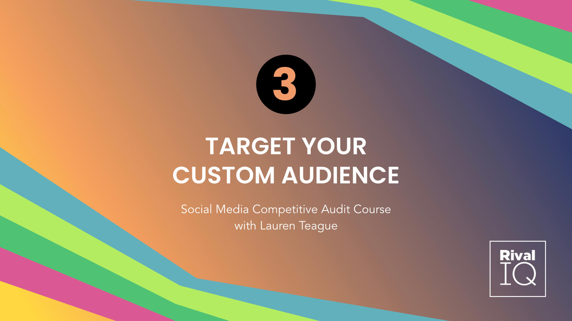 Lesson 2 Social Media Competitive Audit Course