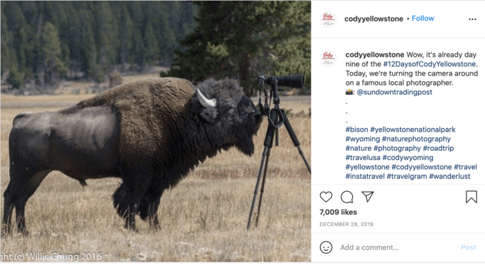 This example of engaging travel social media from Cody Yellowstone features a bison looking through a camera