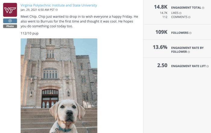 A cute dog in front of a Virginia Tech landmark