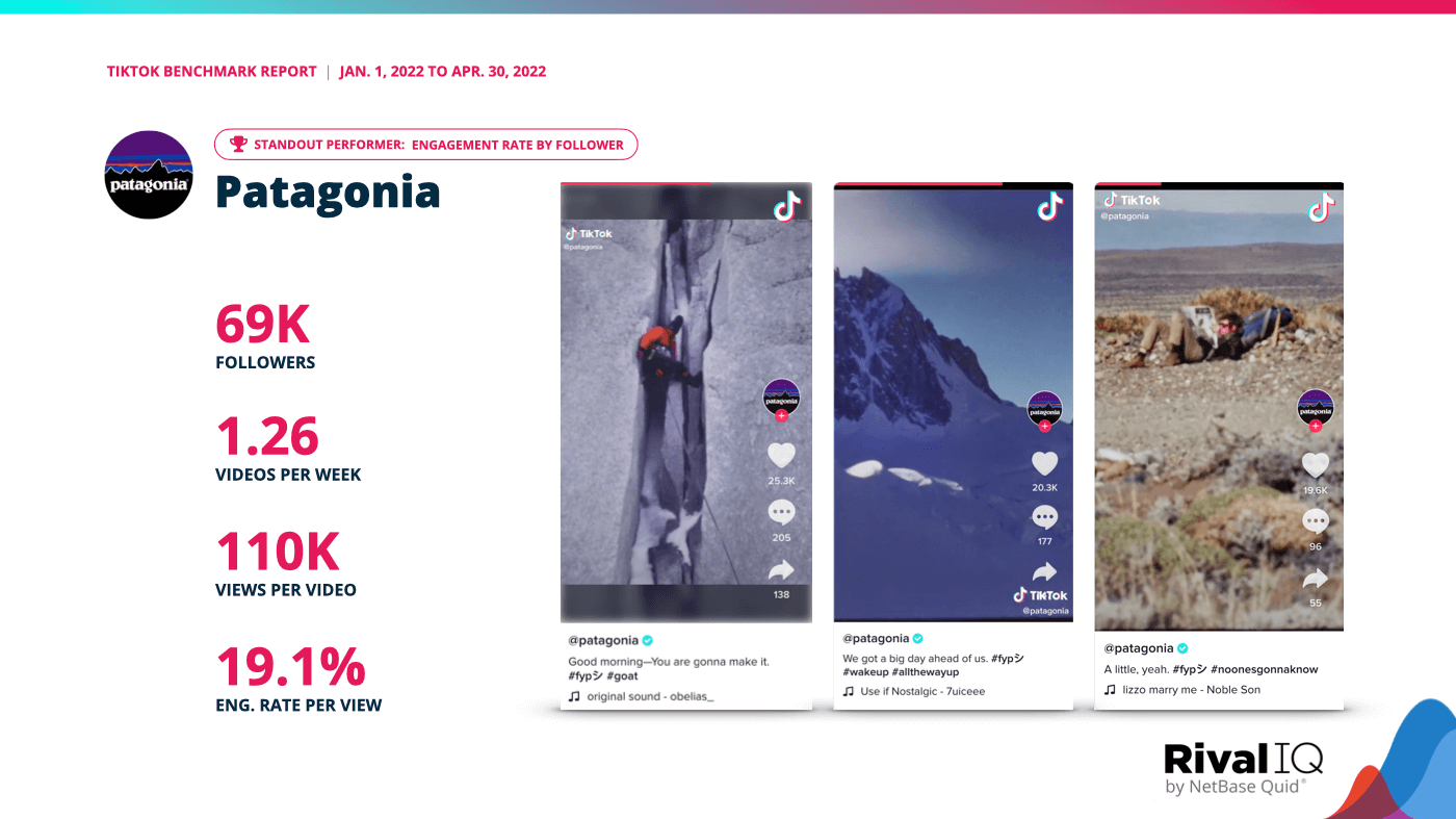 Top videos and metrics for standout eng. rate by follower performer Patagonia