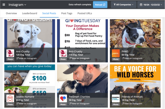 Social Posts Analysis in Rival IQ for a pet-focused non profit landscape shows top Instagram fundraising posts sorted by Engagement Total