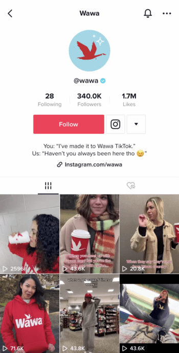 Convenience store Wawa maintains its brand identity throughout its TikTok page.