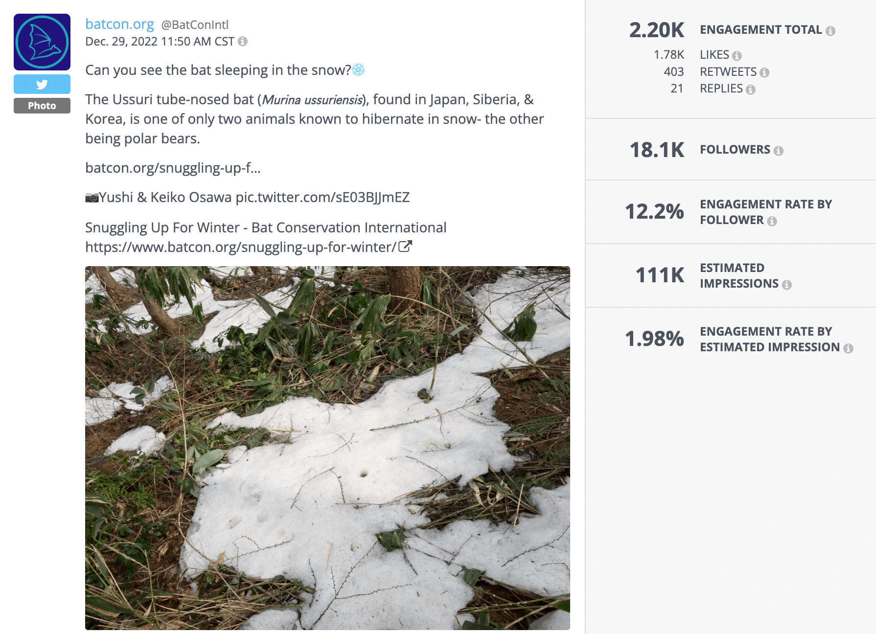 What is a Good Engagement Rate on Twitter? Rival IQ