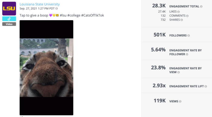 TikToks featuring furry-faced Mike the Tiger, LSU’s live mascot make it to the top of the list