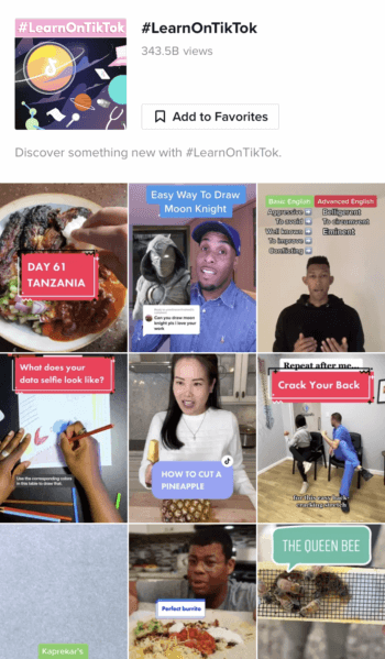 Search results for the hashtag learn on TikTok which has over 343 billion views and counting.