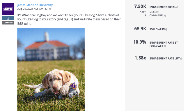 Cute puppy on the JMU campus in honor of National Dog Day is an example of strong higher education social media