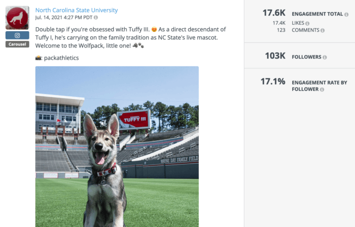 Post from North Carolina State University featuring mascot Tuffy III is one of the best college Instagram posts of the year