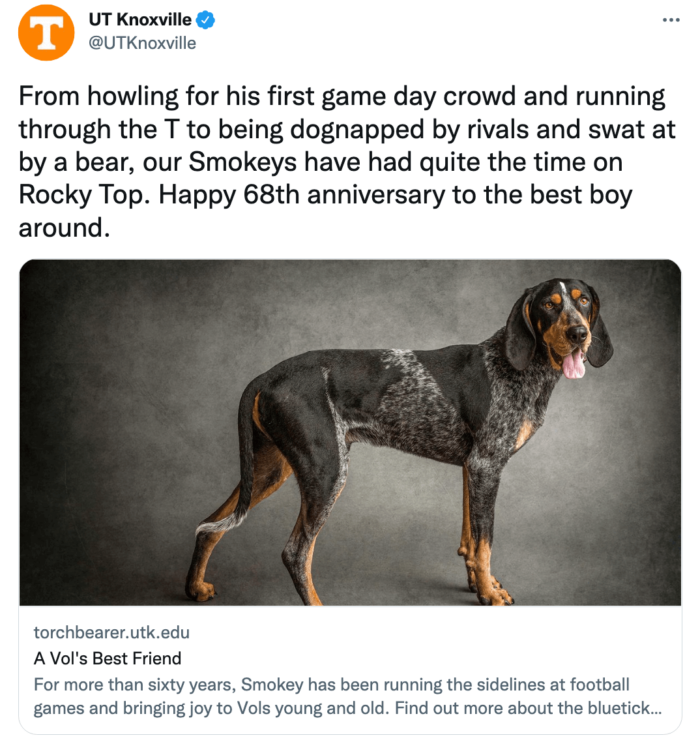 University of Tennessee Knoxville, a top university on Twitter, experiments with different post types to keep engagement high.