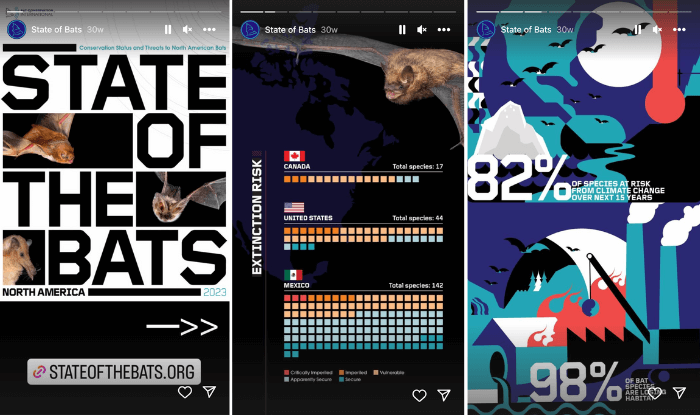 An Instagram Story highlight for the Bat Conservancy International's State of the Bats report.