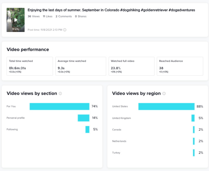 An overview of TikTok metrics on video performance that can be found in native analytics.