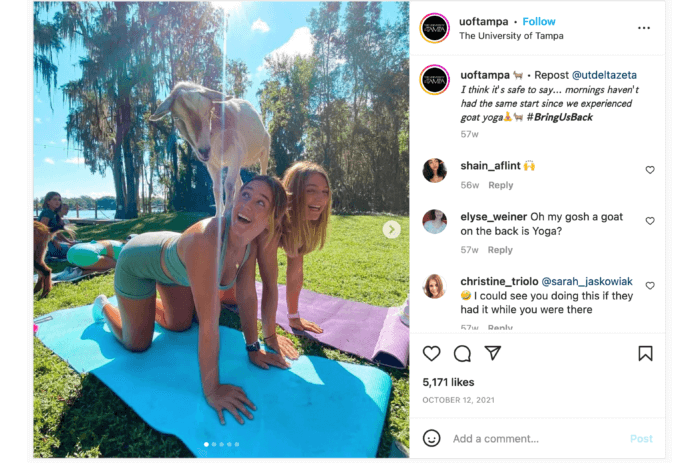 Reposted image from a student account with students laughing while doing goat yoga