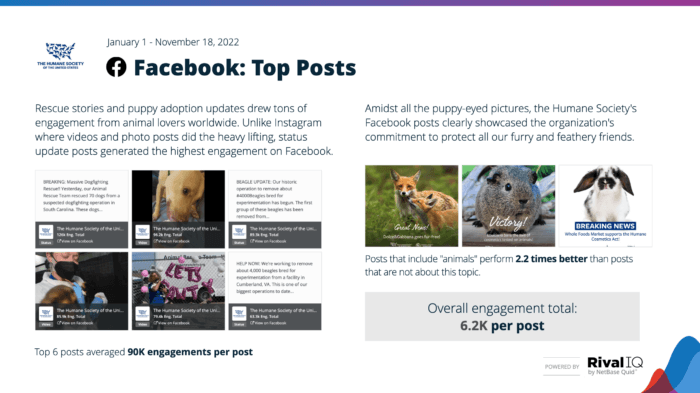 Top Facebook posts from the Humane Society