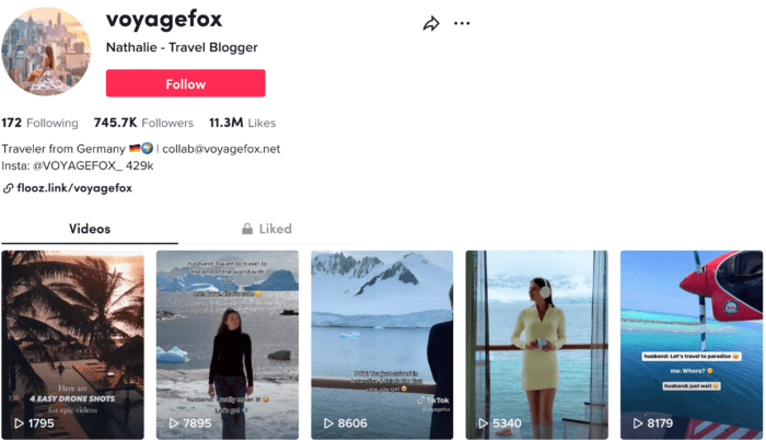 The voyagefox's TikTok shows off her macro-inlfuencer status with over 745K followers.