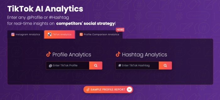 Input a profile or hashtag into analisa.io's AI powered TikTok analytics tool for real time insights