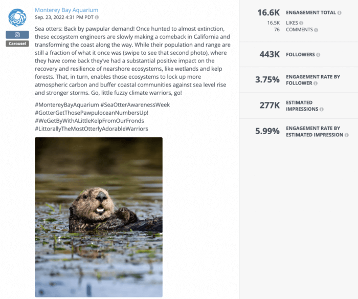 A Rival IQ analysis of an engaging carousel post from Monterey Bay Aquarium, a top-performing brand in the nonprofit industry. 