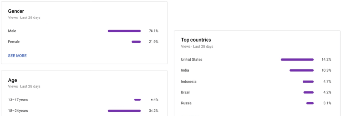 This breakdown gives you a snapshot of your views broken down by gender, age, and county.