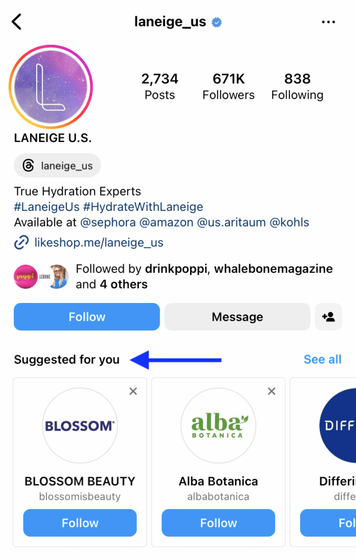 laneige Instagram profile with suggested competitive brands