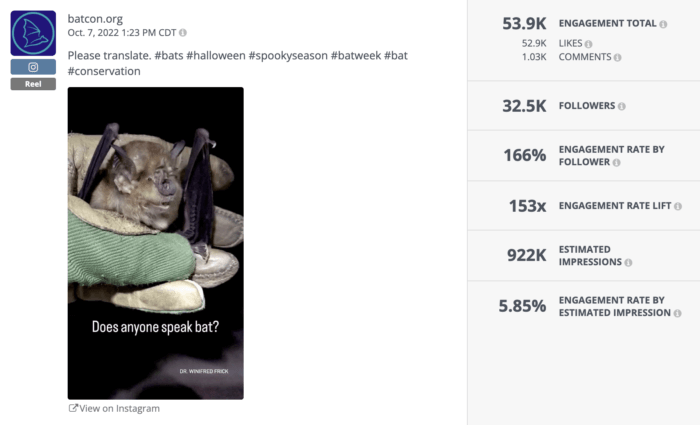 Top nonprofit on Instagram Bat Conservation International's Reel has a thumbnail with a picture of a bat and the caption "does anyone speak bat?"