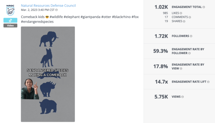 The NRDC creates educational explainer videos like this one describing endangered species making a comeback. Content like this makes the NRDC one of the top nonprofits on TikTok.