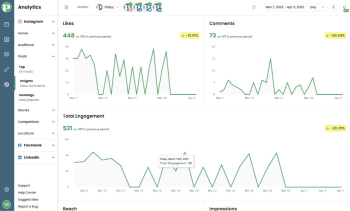 Instagram Analytics in Pally
