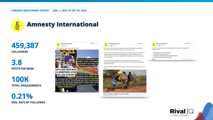 A case study on Amnesty International featuring top posts and significant LinkedIn metrics