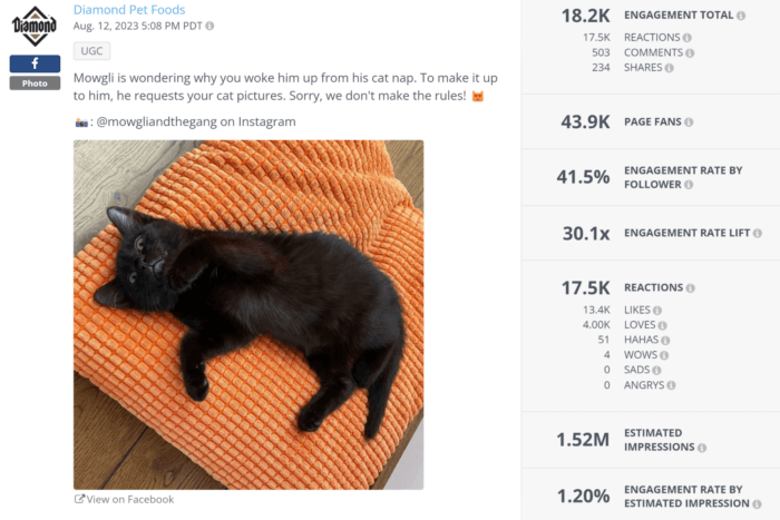 Black cat Mowgli on a orange towel in this UGC Facebook post racked up over 18K in total engagement.