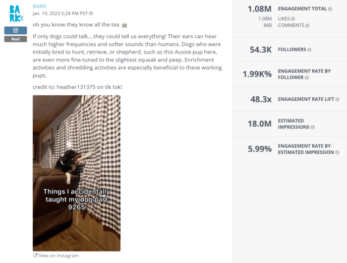 Instagram Reel from Bark includes the caption in the post and generated over a million likes as seen in Rival IQ's social posts analysis section.