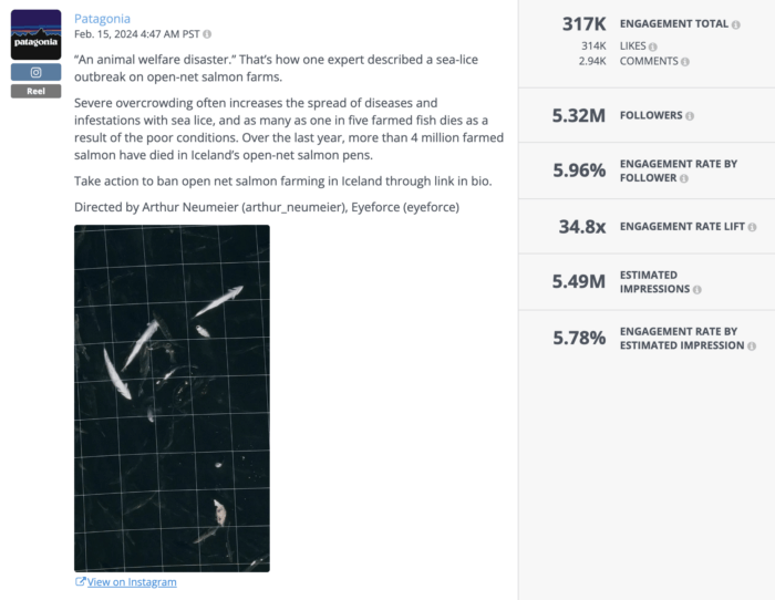 An Instagram post by Patagonia that sheds light on the problem of diseases and infestations on open-net salmon farms, with the post encouraging its social media audience to ban open-net salmon farming in Iceland.