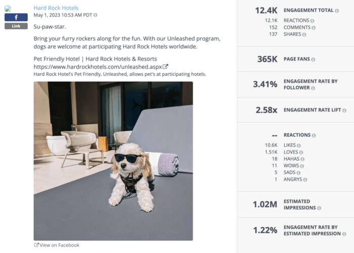 An example of social media audience analysis via Hard Rock Hotels Facebook post where it includes the keyword "pet friendly hotel" in the caption and an image of a dog in sunglasses.