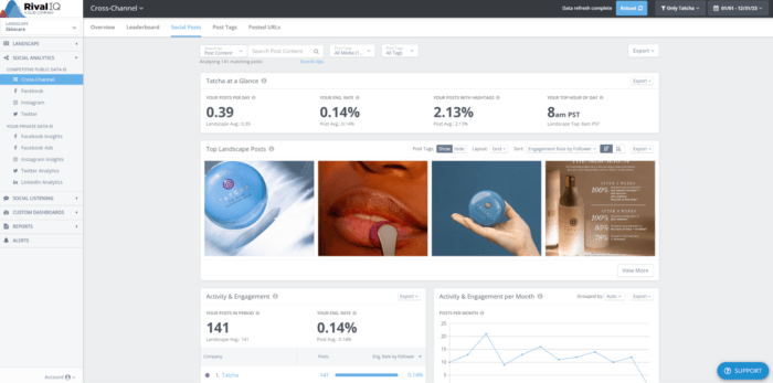 Social Posts page in Rival IQ for analyzing your social posts by channel