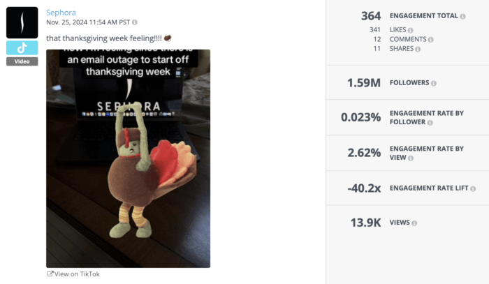 TikTok video by Sephora featuring a humorous stuffed turkey character in front of a laptop with a message about an email outage during Thanksgiving week. 